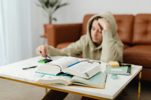 youth studying in a living room.