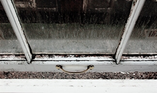 It is a danger to your family and bad for your possessions What can you do to stop black mould