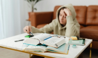 youth studying in a living room.