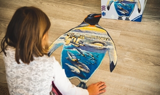 Top tips for jigsaw puzzle fans Top tips for jigsaw puzzle fans